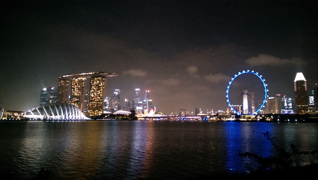 BEFORE: A view of Singapore's Gardens By The Bay from Tanjong Rhu.